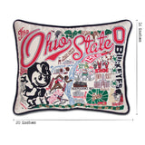 Ohio State University Collegiate Embroidered Pillow by CatStudio from Quirks!