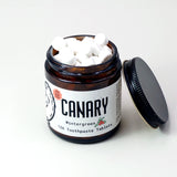 Wintergreen Toothpaste Tablets from Canary