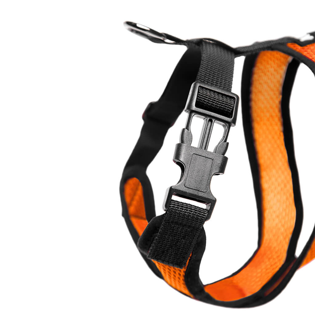 Comfort X Harness from Gooby