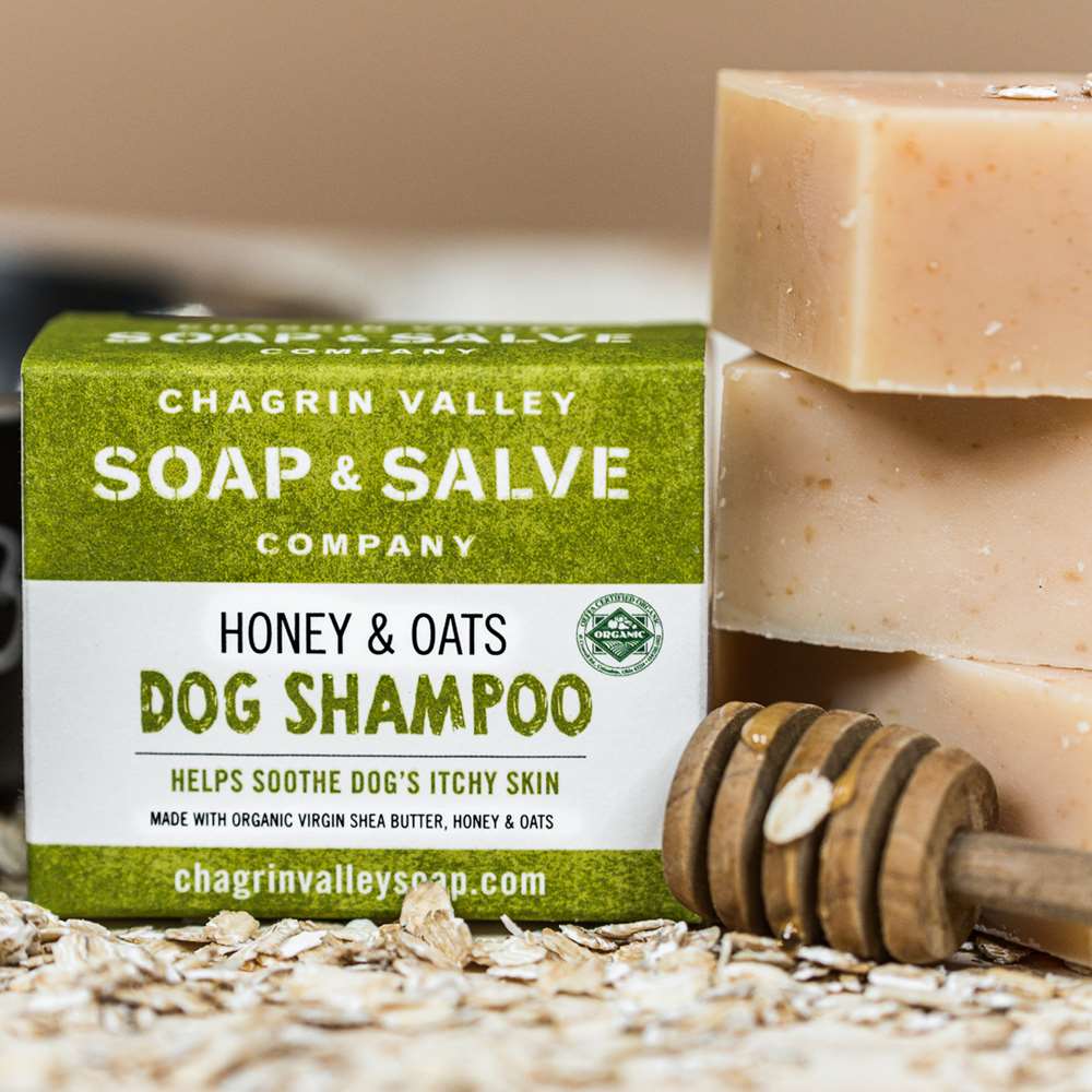 Dog Shampoo: Honey & Oats from Chagrin Valley Soap & Salve