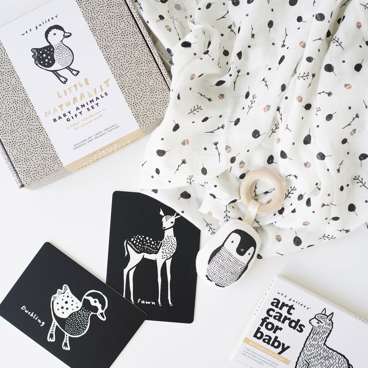 Little Naturalist Gift Set - Baby Animals From Wee Gallery