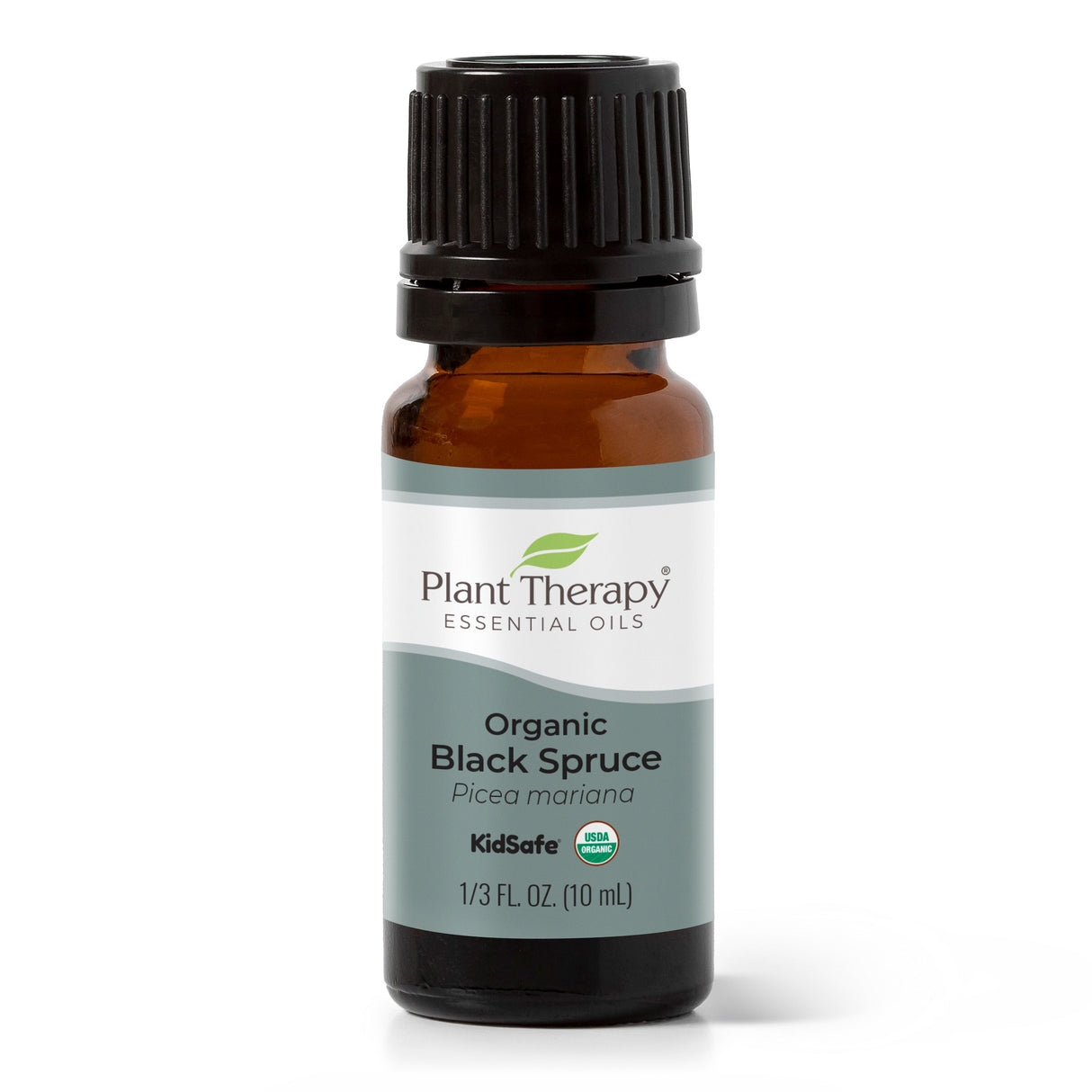 Organic Black Spruce Essential Oil from Plant Therapy