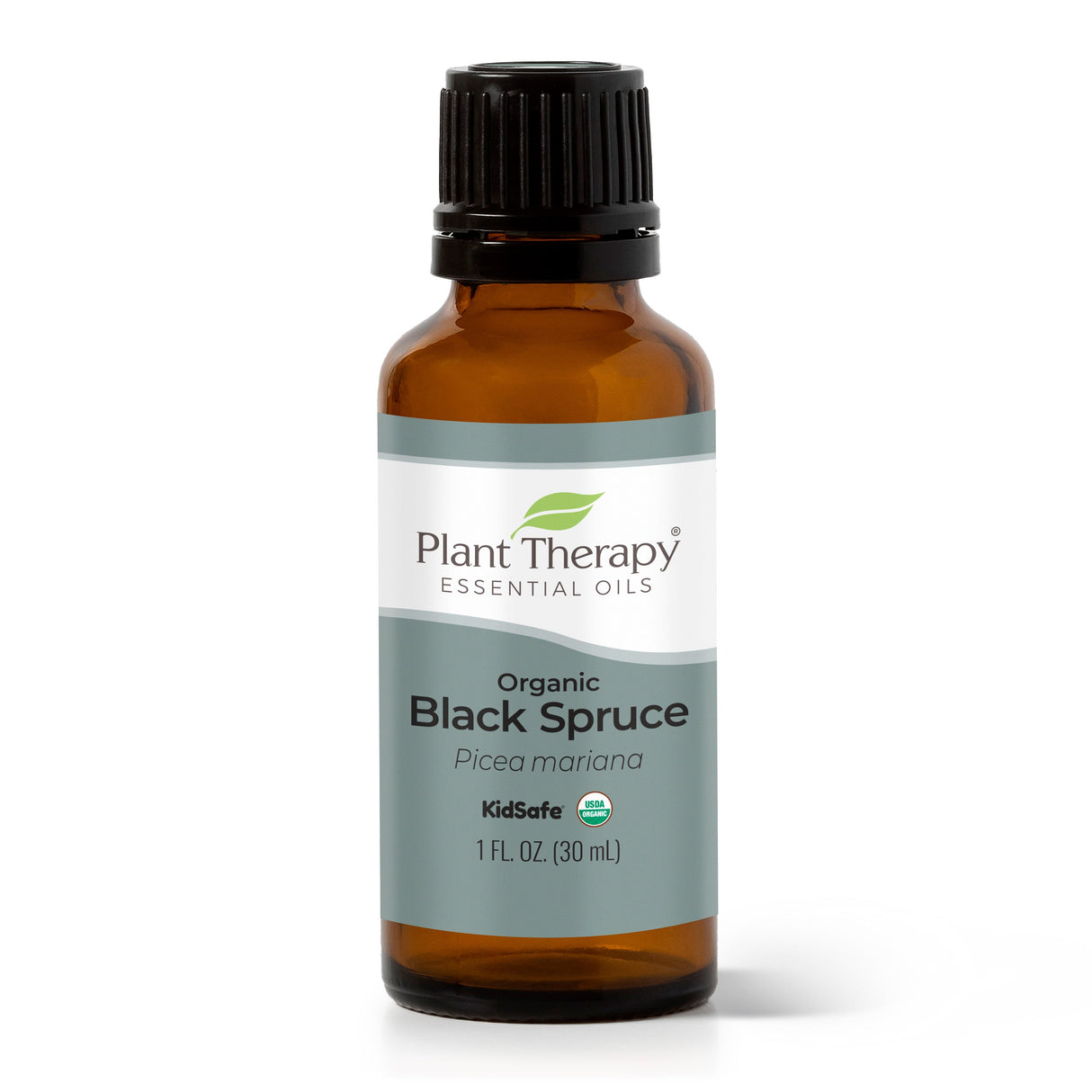 Organic Black Spruce Essential Oil from Plant Therapy