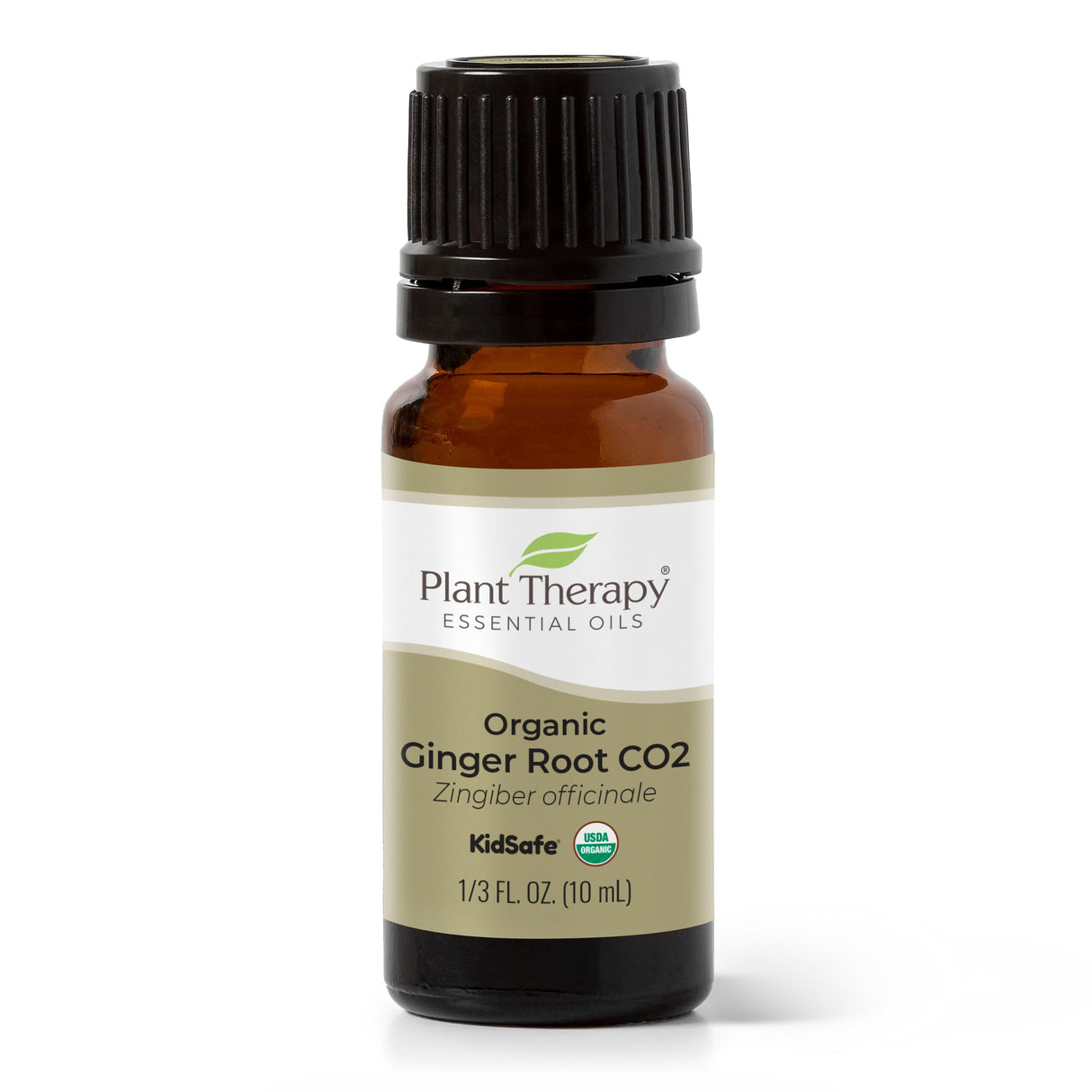 Organic Ginger Root CO2 from Plant Therapy