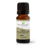 Organic Ginger Root CO2 from Plant Therapy