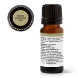 Organic Ginger Root CO2 from Plant Therapy
