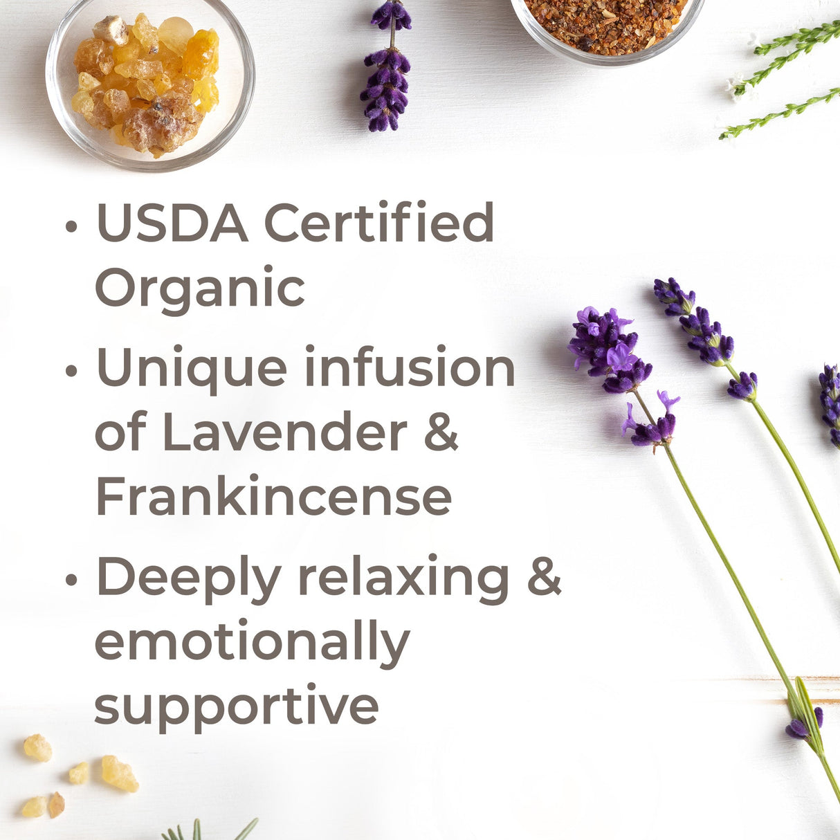 Organic Lavender Infused Frankincense Essential Oil Infusion from Plant Therapy