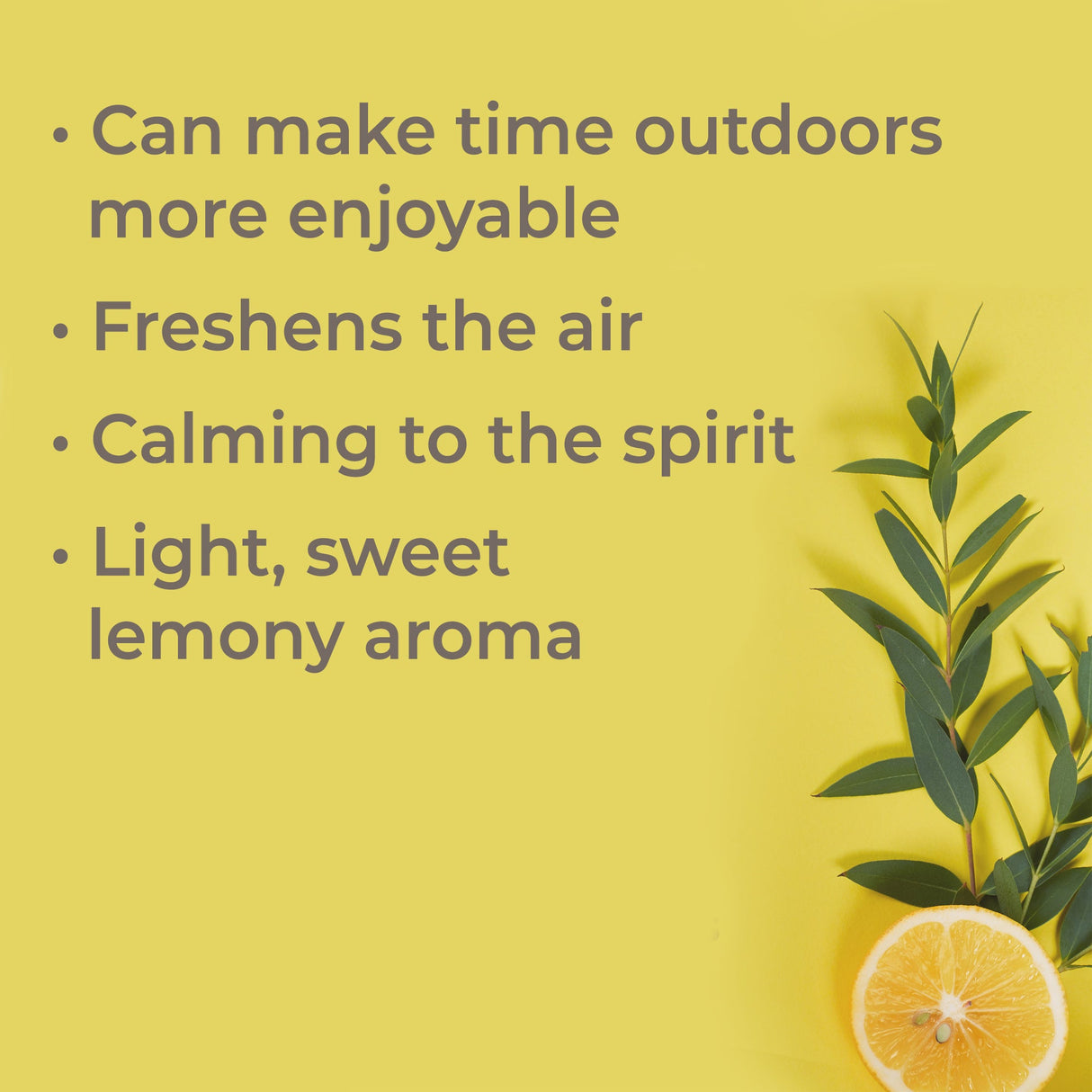 Organic Lemon Eucalyptus Essential Oil from Plant Therapy