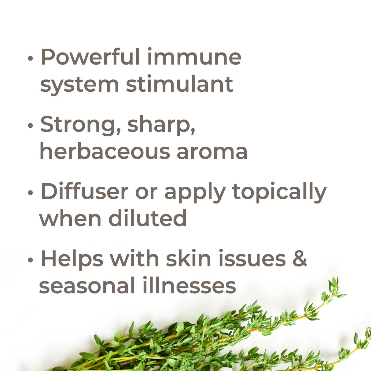 Organic Thyme Thymol Essential Oil from Plant Therapy