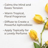 Organic Ylang Ylang Complete Essential Oil from Plant Therapy