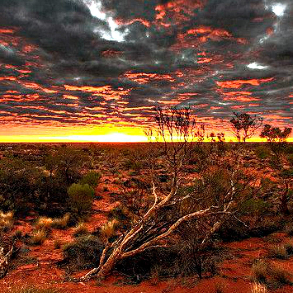 Outback Mate from Wicked Good Perfume