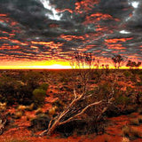 Outback Mate from Wicked Good Perfume