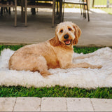 PupRug by Paw.com™ Portable Orthopedic Dog Bed - White with Brown Accents from Paw.com