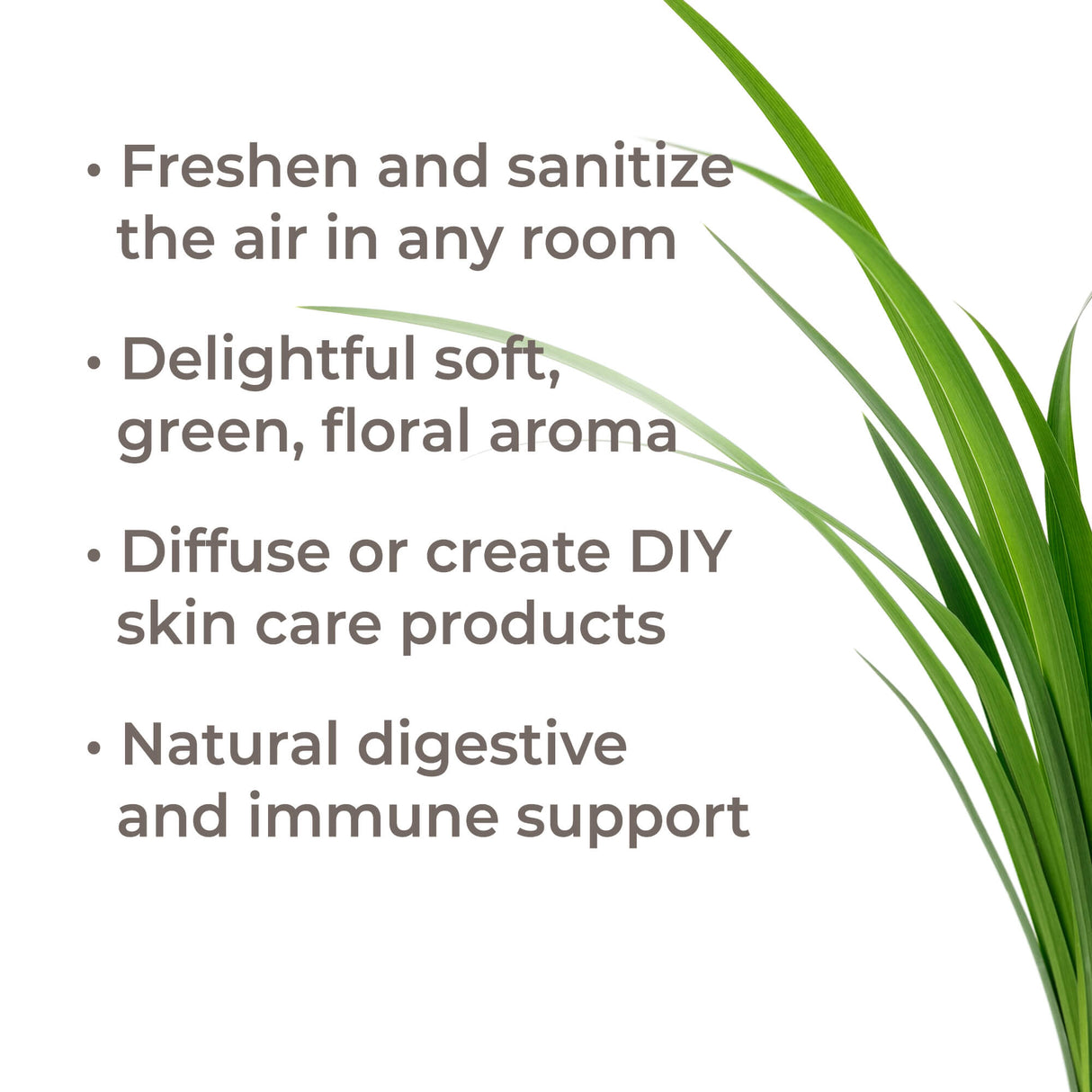 Organic Palmarosa Essential Oil from Plant Therapy