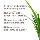 Organic Palmarosa Essential Oil from Plant Therapy