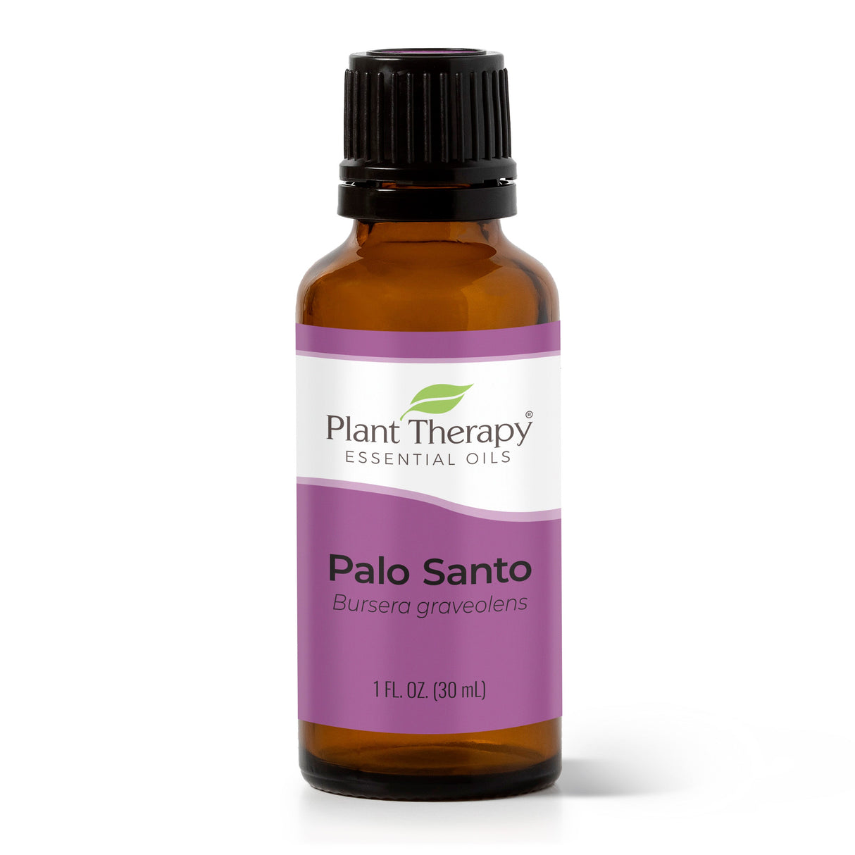 Palo Santo Essential Oil from Plant Therapy