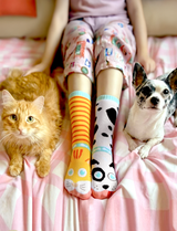 ADULT CAT & DOG SOCKS from Pals Socks