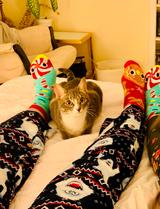 ADULT GINGERBREAD & CANDY CANE CHRISTMAS SOCKS from Pals Socks