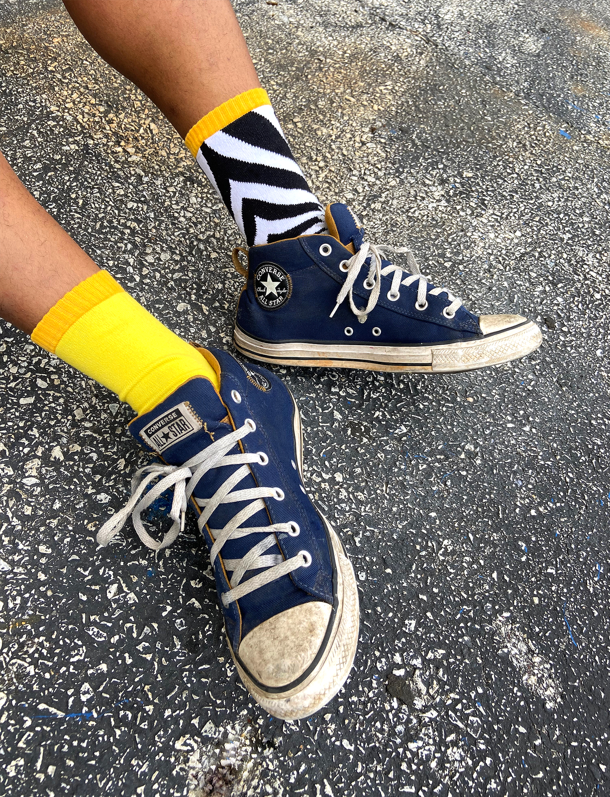 ADULT LION & ZEBRA SOCKS from Pals Socks