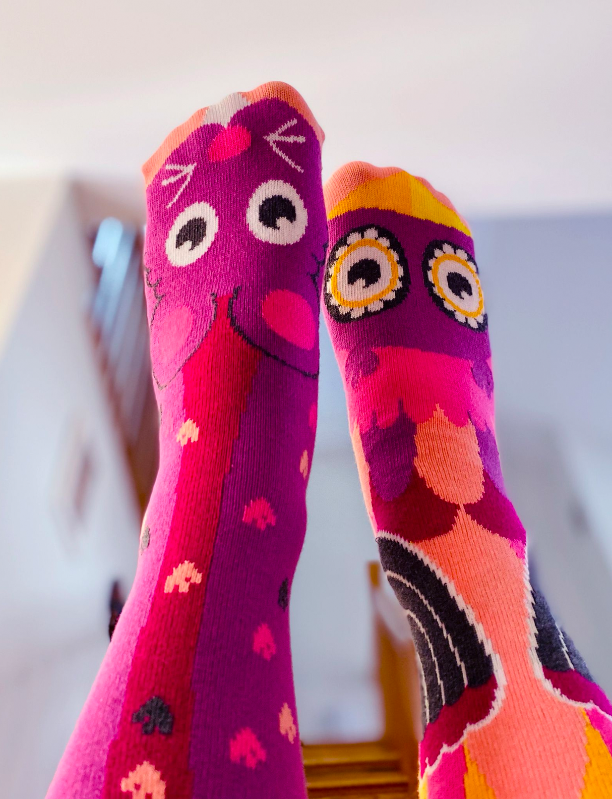 ADULT OWL & MOUSE SOCKS from Pals Socks