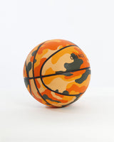 Pascal Basketball From Chance