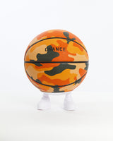 Pascal Basketball From Chance