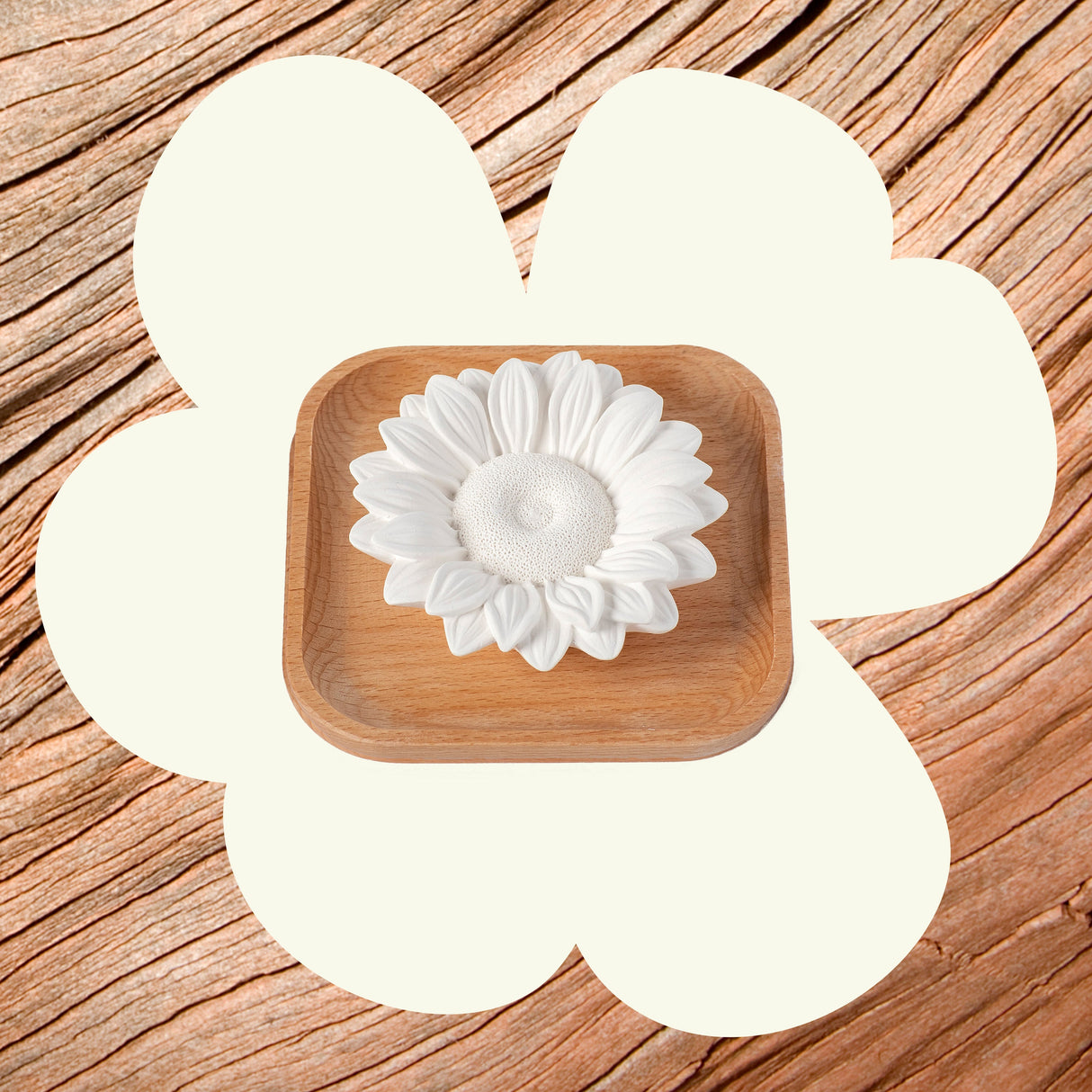 Passive Sunflower Diffuser from Plant Therapy