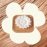 Passive Sunflower Diffuser from Plant Therapy