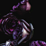 Patchouli Noir from Wicked Good Perfume