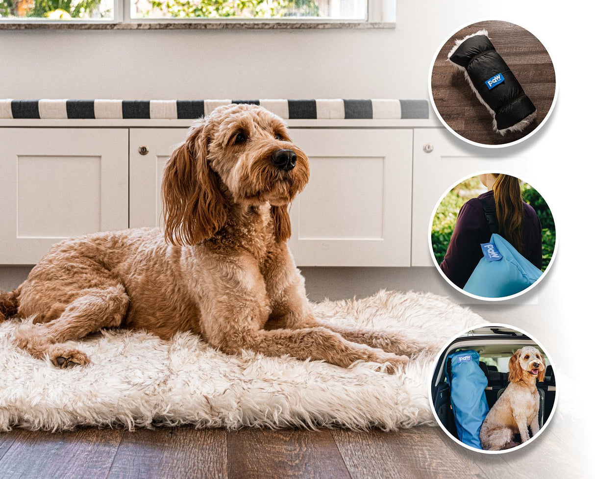 PupRug by Paw.com™ Portable Orthopedic Dog Bed - White with Brown Accents from Paw.com