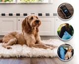 PupRug by Paw.com™ Portable Orthopedic Dog Bed - White with Brown Accents from Paw.com