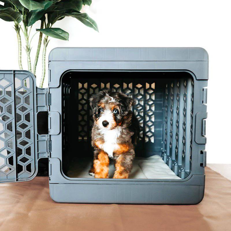 PAWD®  Modern Collapsible Dog Crate from KindTail