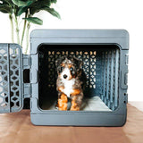 PAWD®  Modern Collapsible Dog Crate from KindTail