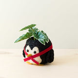 Penguin Planter - Coco Coir Pot | From LIKHÂ