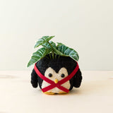 Penguin Planter - Coco Coir Pot | From LIKHÂ