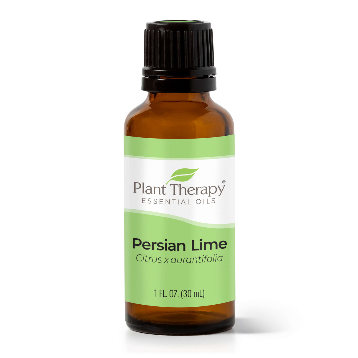 Persian Lime Essential Oil from Plant Therapy