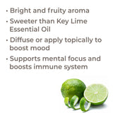 Persian Lime Essential Oil from Plant Therapy