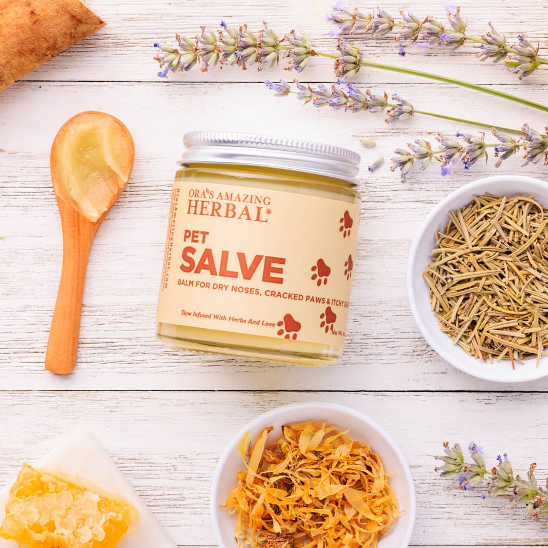 Pet Salve & Lavender Balm from Ora's Amazing Herbal