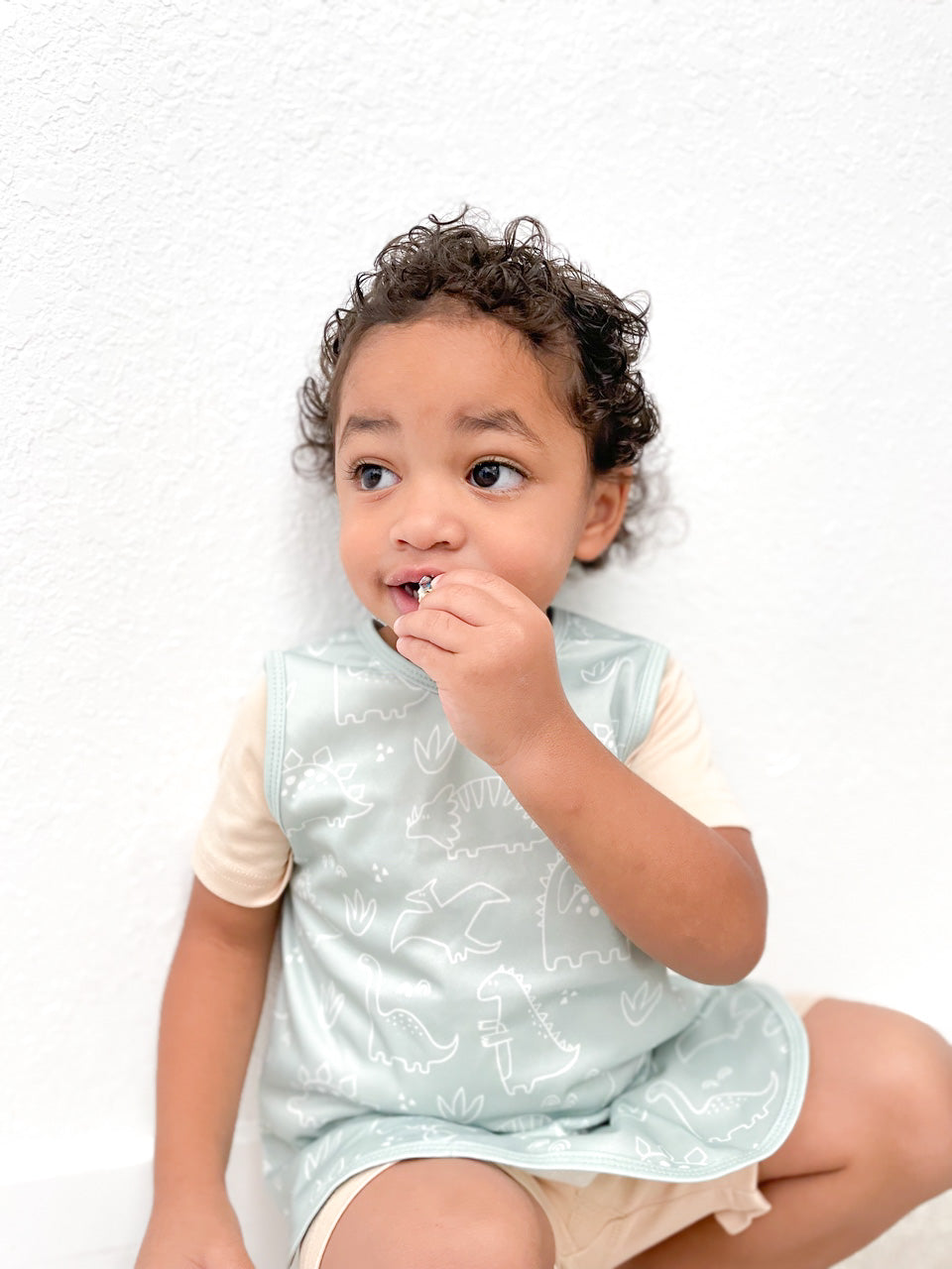 Dino Friends - Sage Bapron from BapronBaby