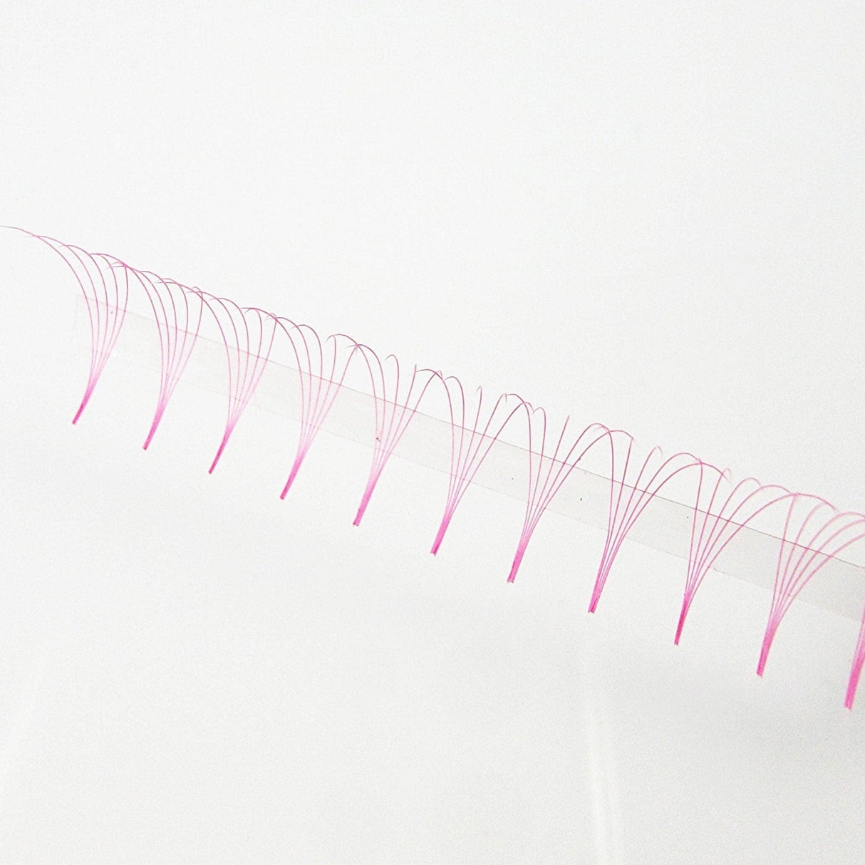 Pink 5D Rapid Promade Fans - 600 Fans from Mega Lash Academy