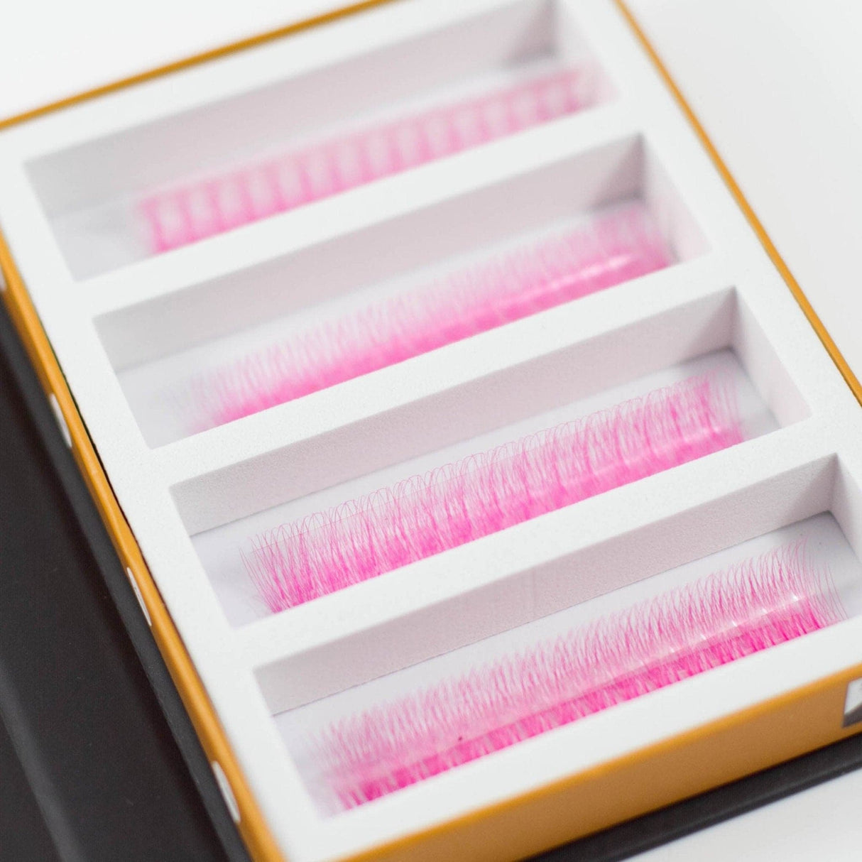 Pink 5D Rapid Promade Fans - 600 Fans from Mega Lash Academy