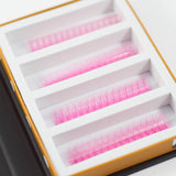 Pink 5D Rapid Promade Fans - 600 Fans from Mega Lash Academy