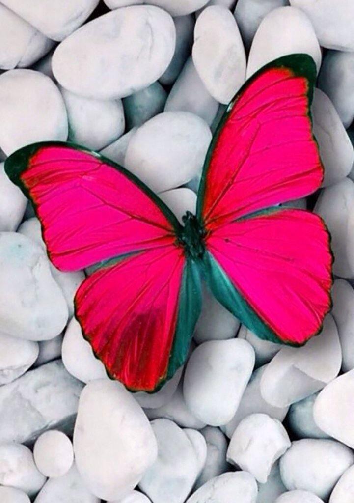 Pink Butterfly CS054  7.9 x 11.8 inches Crafting Spark Diamond Painting Kit from Wizardi