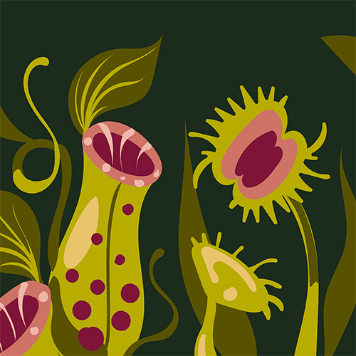 Pitcher Plant Crew Socks from FootClothes
