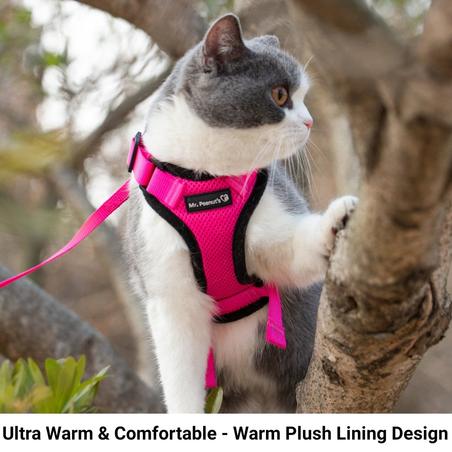 Mr. Peanut's PurrTrek Reflective Cat Harness with Matching Leash from Mr. Peanut's Pet Carriers