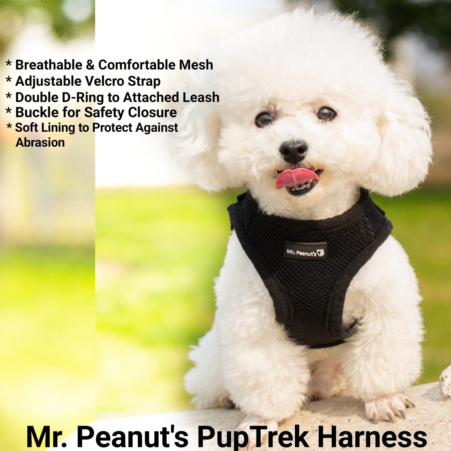 Mr. Peanut's PupTrek Harness and Leash Set,  Small Dog/Cat Soft Mesh Step In Harness Vest from Mr. Peanut's Pet Carriers