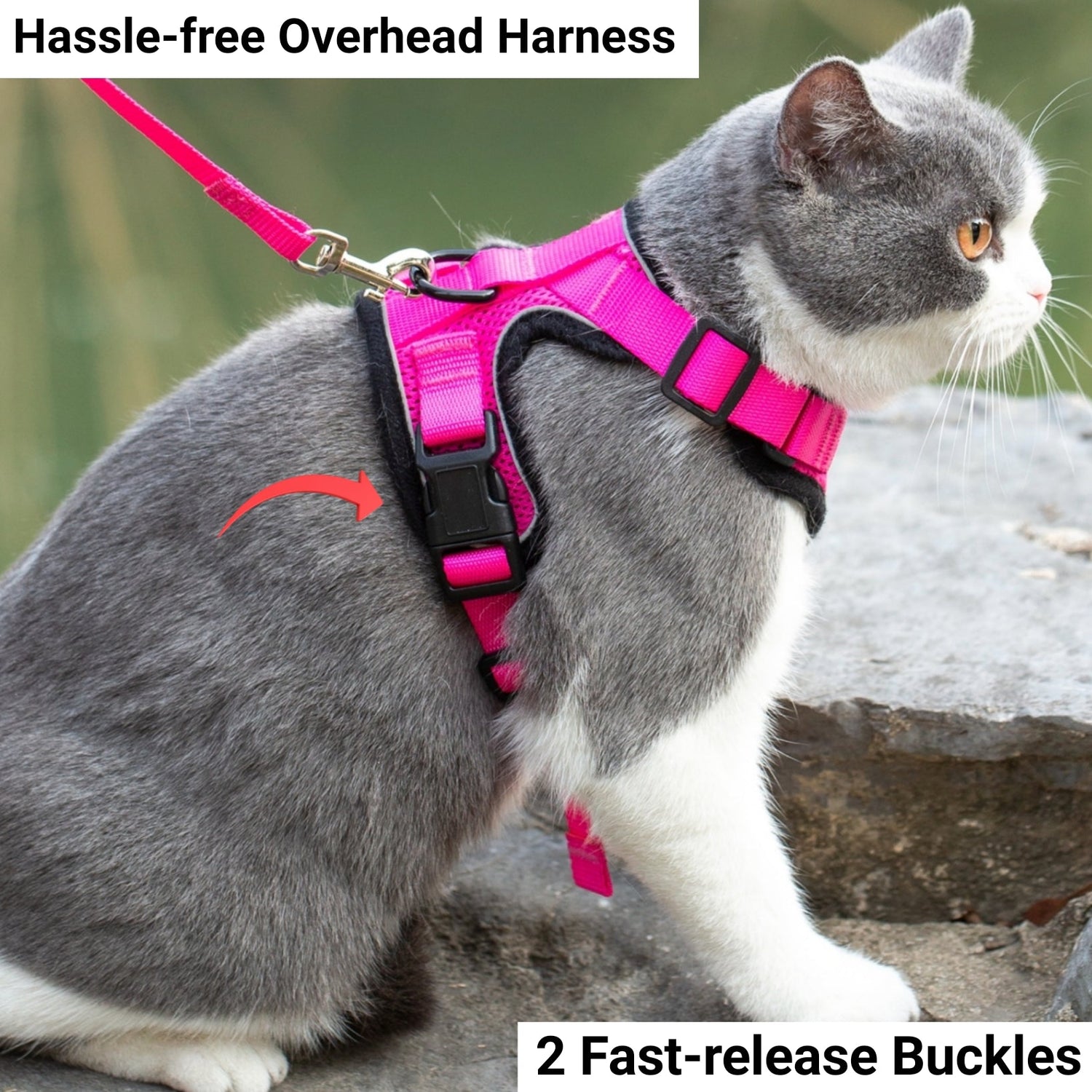 Mr. Peanut's PurrTrek Reflective Cat Harness with Matching Leash from Mr. Peanut's Pet Carriers