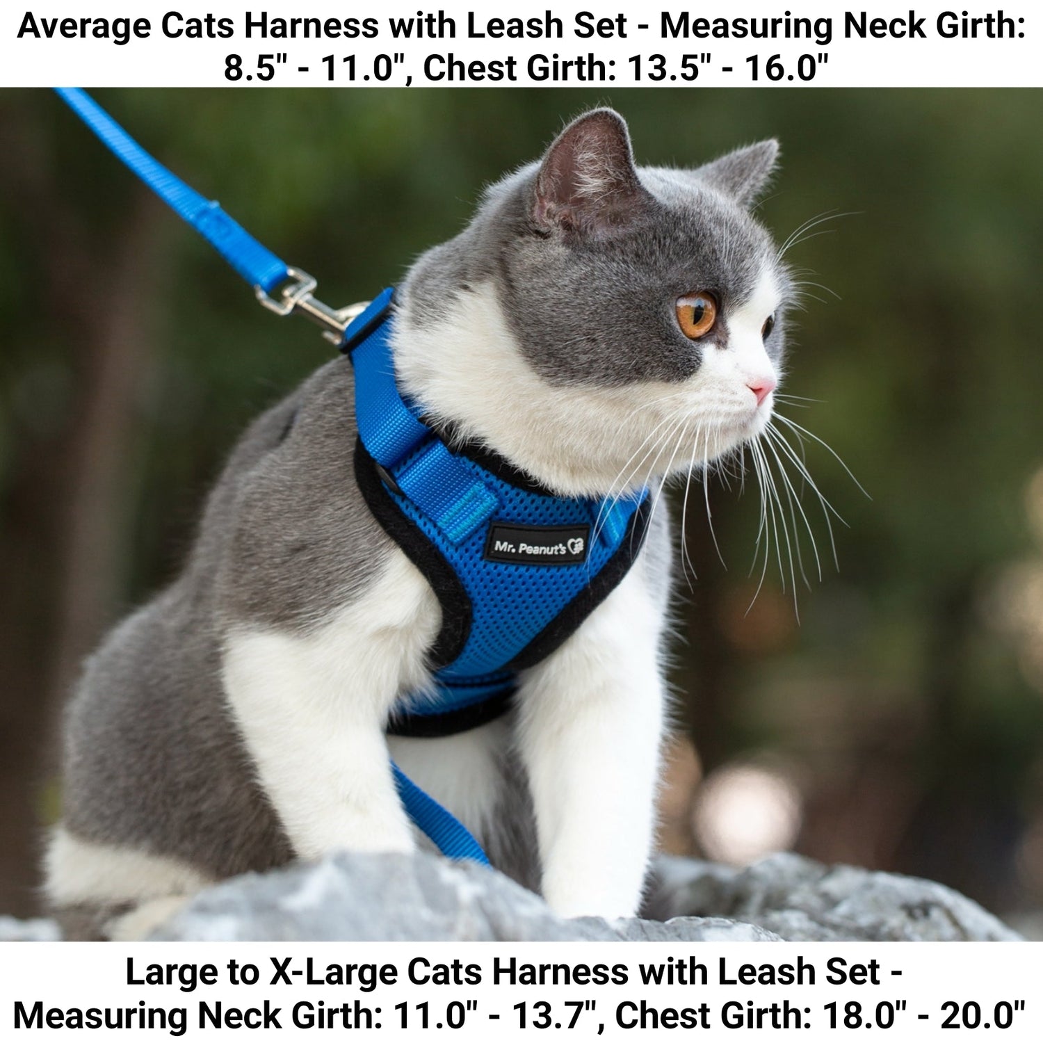 Mr. Peanut's PurrTrek Reflective Cat Harness with Matching Leash from Mr. Peanut's Pet Carriers