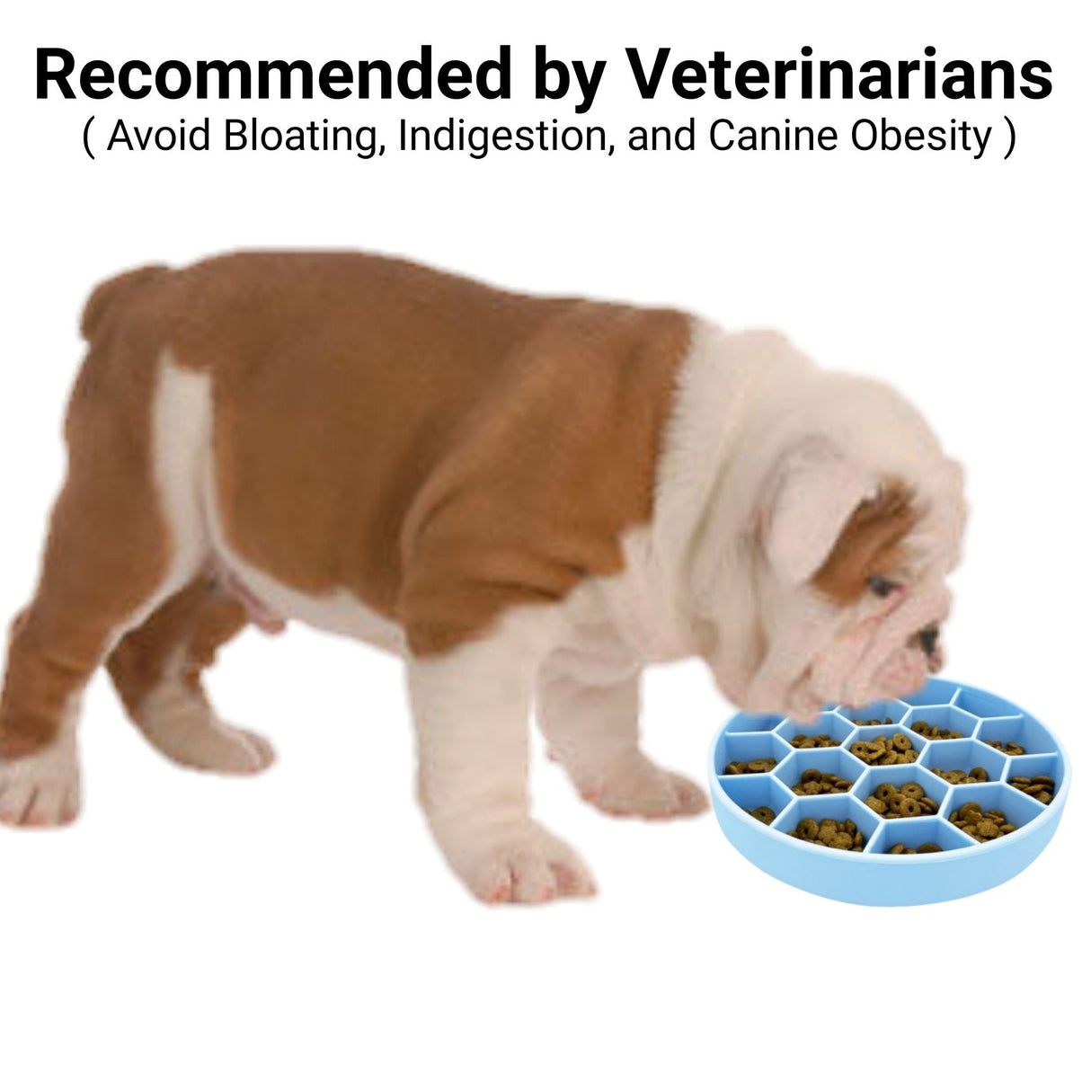 Mr. Peanut's Silicone Slow Feeder Dog Bowl from Mr. Peanut's Pet Carriers
