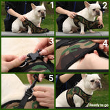 Mr. Peanut's PupTrek Harness and Leash Set,  Small Dog/Cat Soft Mesh Step In Harness Vest from Mr. Peanut's Pet Carriers